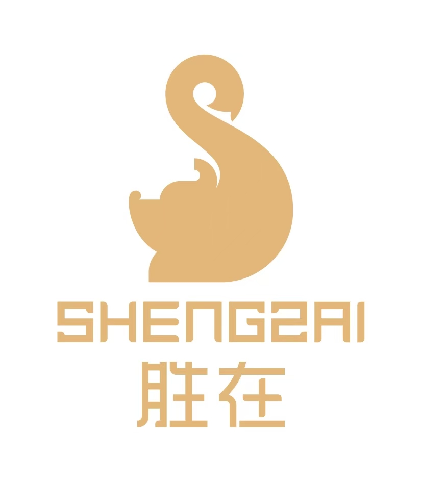 胜在 Logo